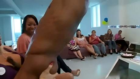 Dancing Bear featuring fancy woman's group clip